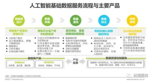 放眼人工智能蓝海，数据审核大有可为——人工智能理论与算法软件开发的基石